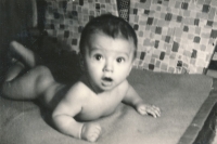 Zoltán Czvengrosch in infancy, 1960