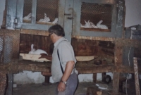 Jan Chloupek at work as a zootechnician