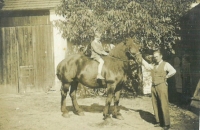 Blahomír, father of the witness, with Antonín, grandfather of the witness, on the farm in Dřínov, around 1930