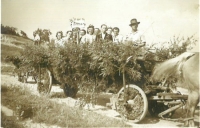 Group going to the harvest festival, Prosečné, about 1955