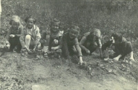 Children picking potatoes, Prosečné, about 1960