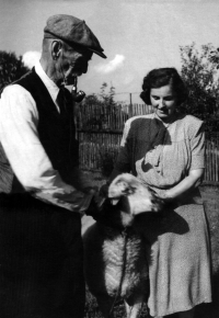 Ludvík Procházka's great-grandfather Adolf Kuzbach with his daughter (Ludvík's grandmother) and their ram, circa 1930s