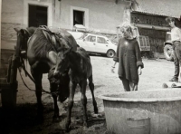 Dagmar Pavlíková in Šumava with her friend and horses