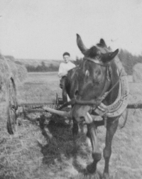 Witness with his horse Hanka in 1956