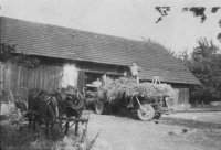 Farm in 1957