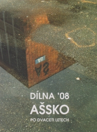 Cover of the book Workshop '08 Aš: Twenty Years Later