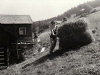 Family cottage in Krkonoše - Jana Kautská baling hay, 1971