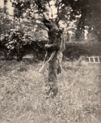 Jana Kautská - wolf, theatre, Hrubá Skála, 1952