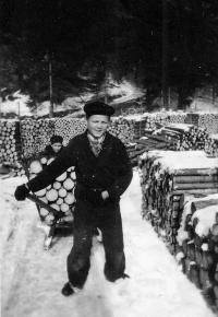 Vilibald Plaček pushing a sledge with wood in the back, Bílá 1953