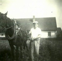 Blahomír Sr., father, while ploughing potatoes with his horse Frajerka, about 1952