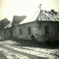 Blahomír and Ludmila, parents, and children Blahomír and Zdeňka, Dřínov no. 19, c. 1955