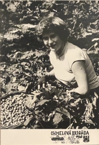 Zdenka on the hop brigade, 1960