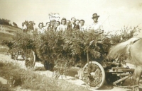 Group going to the harvest festival, Prosečné, about 1955