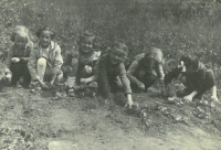 Children picking potatoes, Prosečné, about 1960