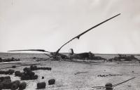 Sinai campaign, remnants of the Egyptian army